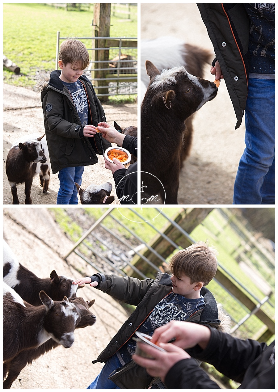 Tilgate-Park-Animal-Centre-Childrens-Birthday-Party-Photograpy-Crawley-Horsham-West-Sussex-Millie-And-Max