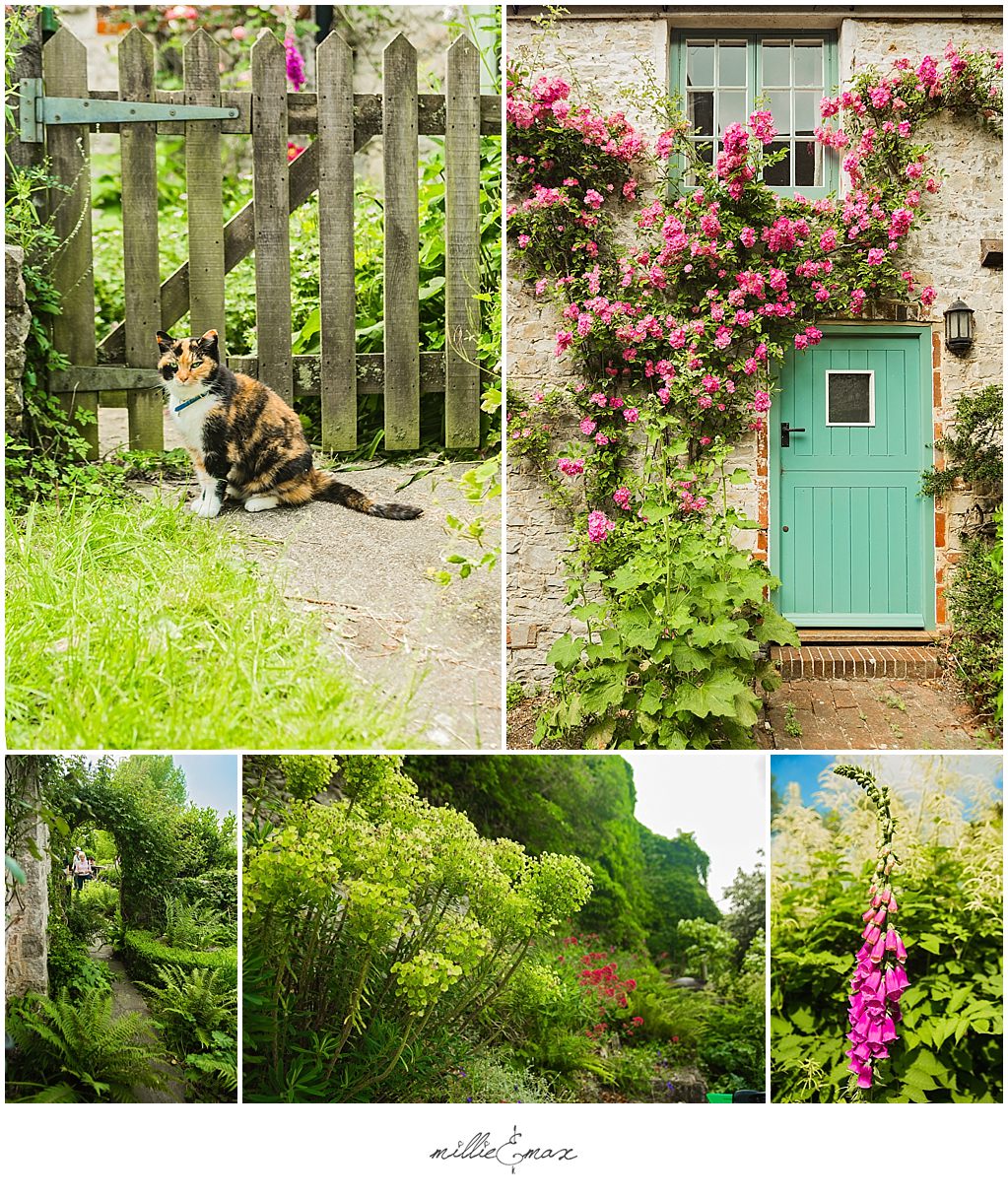 Amberley-Open-Gardens-SussexEvent-Photography-by-Millie-and-Max-Photography-Horsham