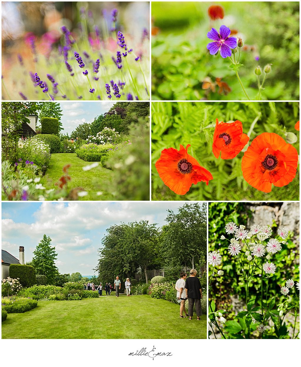 Amberley-Open-Gardens-SussexEvent-Photography-by-Millie-and-Max-Photography-Horsham